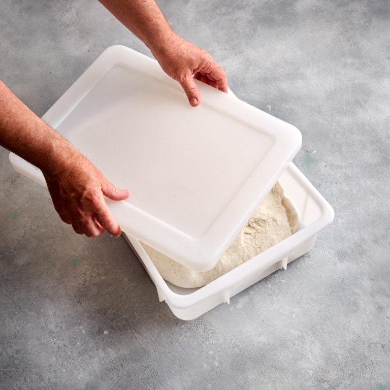 11 Litre Shallow Dough Field with Non-compulsory Lid