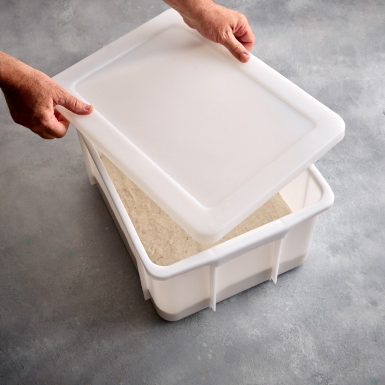 21-Litre Deep Dough Field with Non-obligatory Lid